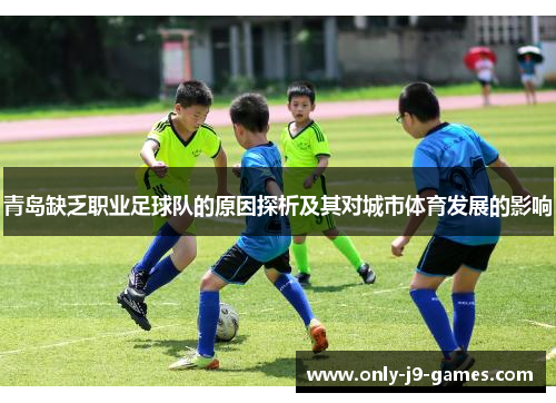青岛缺乏职业足球队的原因探析及其对城市体育发展的影响